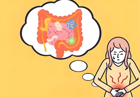 肠炎患者如何预防肠道菌群失调？